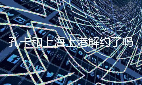 去年12月回到上海上港后