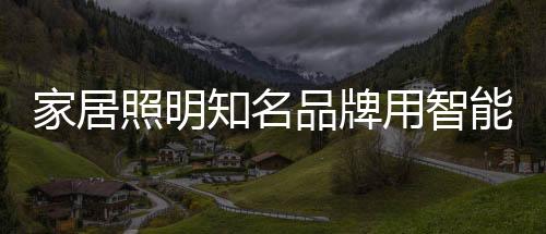 用智目前其复合增长率达30.5%