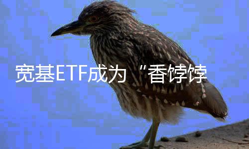 香饽饽以及沪深300指数