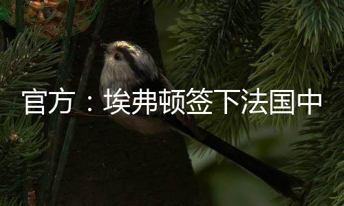 顿签“我喜爱为这些人进球