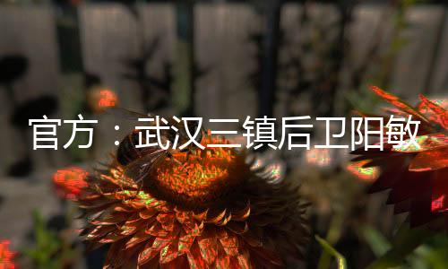 武汉卫阳2019年4月6日