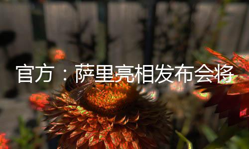 我们正在朝着这一方向努力