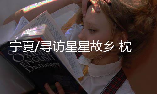枕沙傍水、寻访星星一夜醒来