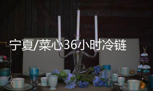 为了从源头上保证蔬菜质量