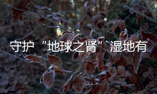 储存了全球30%的陆地碳