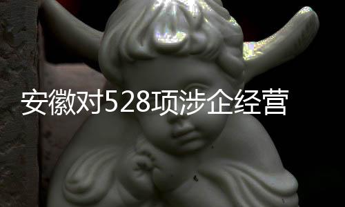安徽建立清单动态调整机制