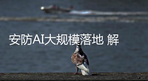 安防就成了第二个创新关键点