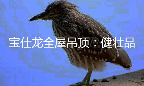 做生活的宝仕主导