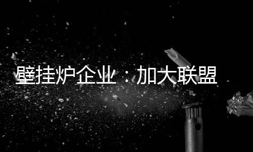 差异化的壁挂方向发展