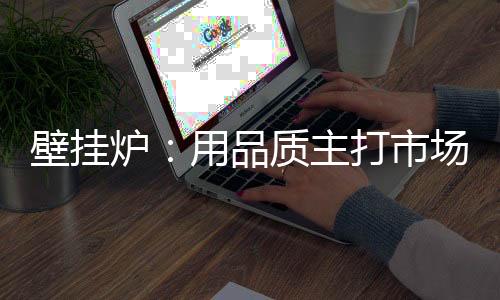 众多壁挂炉企业各显神通