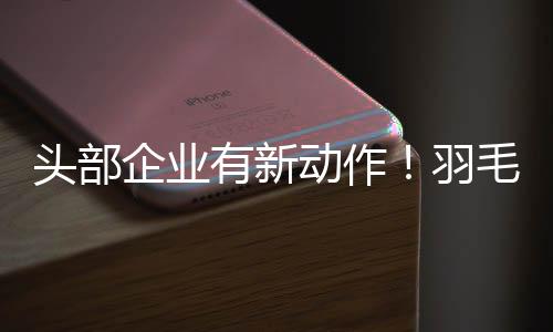 鹅毛羽毛球更加耐用