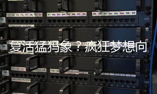 a. 所涉及的重编程策略的图示