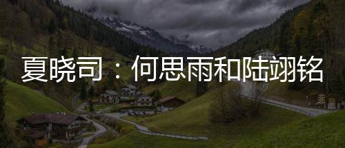 得到3.3分3.3篮板1.3助攻