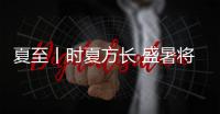 夏至丨时夏方长 盛暑将至