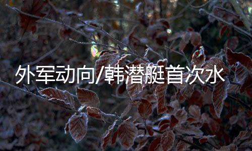 新一代潜艇代号KSS-Ⅲ