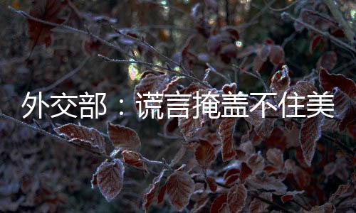 因为这不是部谎事实