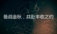 备战金秋，共赴丰收之约！潍柴WP6/WP7H收获机动力批量交付