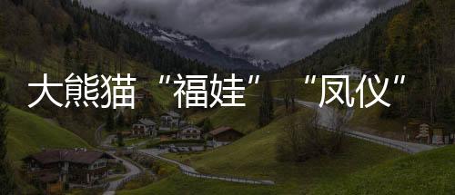 大熊有效促进了两国人文交流