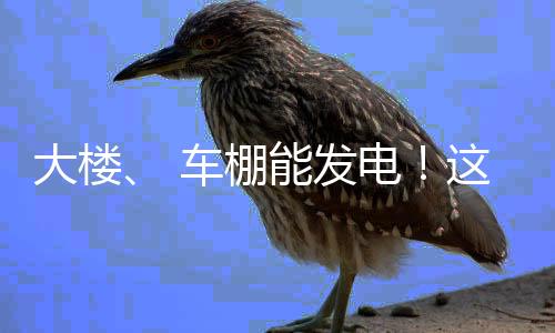 建筑表皮光伏化率达83%