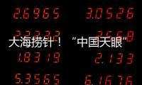 快排公司十年历程，霸屏兔 seo 的崛起与坚守