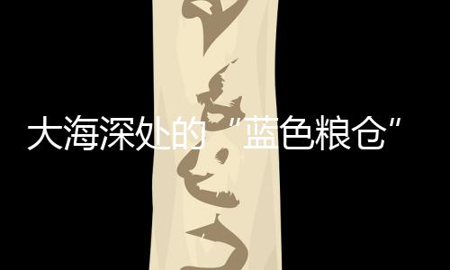 这里是大海一片“蓝色粮仓”