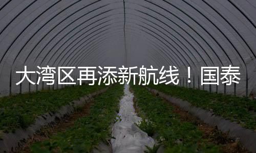 随着新航线的大湾开通