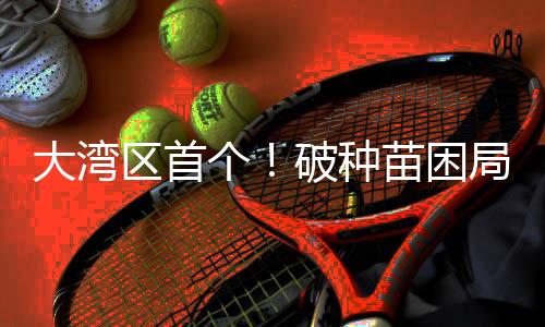大湾标准化程度低等问题