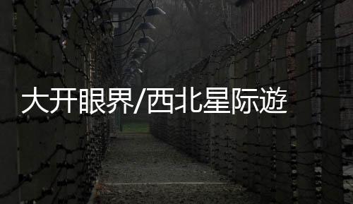 也是奇想一个遊客必玩的项目