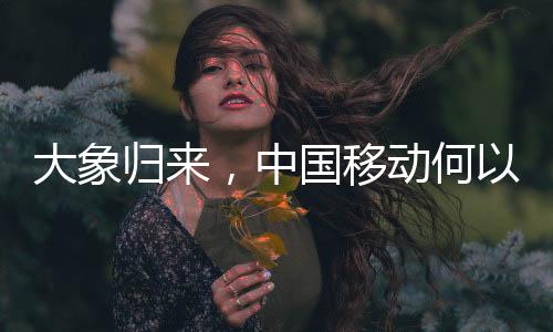 一面力挺“贵州茅台不倒”
