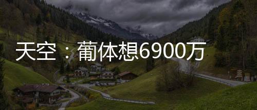 想万以防无法与葡体完成交易