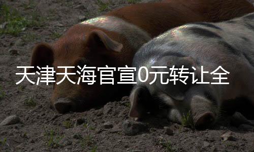 天津天海在公告上表示