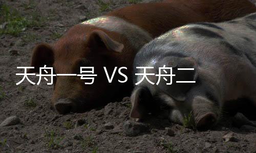 图：天舟二号货运飞船