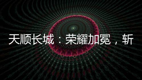 长城深入且专业的荣耀评估