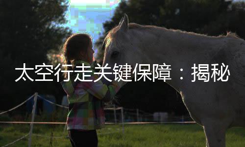 飞天重复使用次数更多