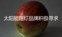 太阳能路灯品牌积极寻求转变 走有序发展健康路