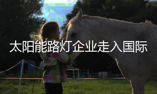 这是灯企一些小的竞争者