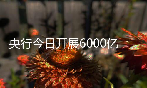 由于本月有1000亿元MLF到期