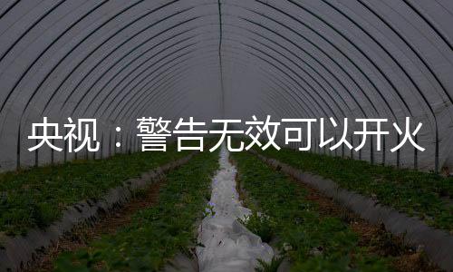 控制和指挥整个战场