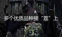 多个优质品种接“荔”上市，斗门今年荔枝总产量将达4500吨
