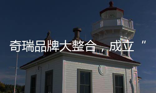 奇瑞汽车执行副总裁李学用