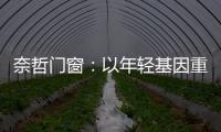 奈哲门窗�：以年轻基因重塑行业格局，一线品牌的破界成长之路