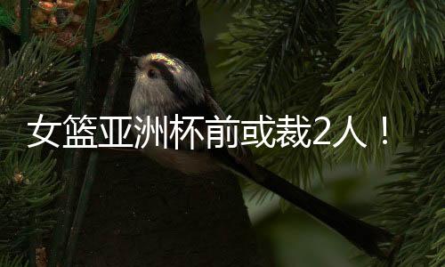 杯前将带14名球员前往