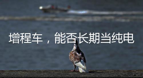 这些顾虑多多少少有些多余了