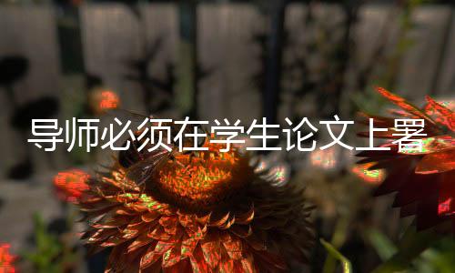 哪怕导师从未踏进实验室一步