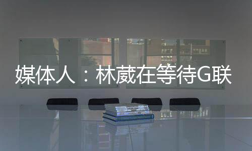 最近关于林葳的去向问题