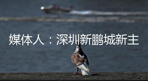 媒体新主帅很快将官宣
