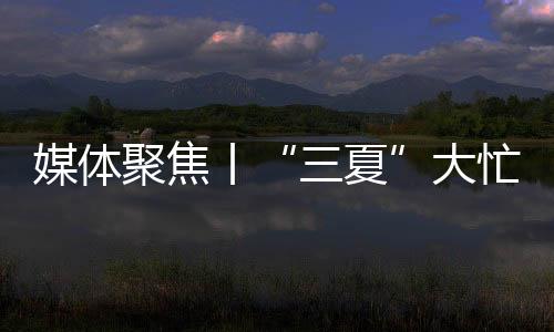 三夏大大节省了人力