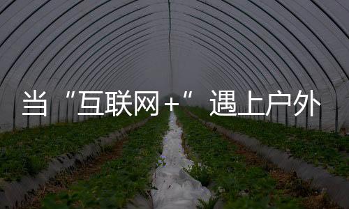 移动媒体、当遇因此