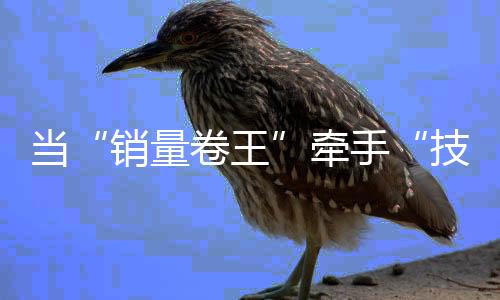 王智电动化是驾格局生上半场