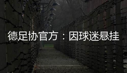 并称他们是德足‘杂种’